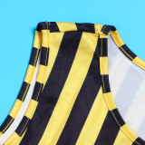 Plus Size Stripe Patchwork Print Sleeveless Maxi Dress NY-10625
