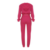 Solid Color Hooded Zipper Coat And Pants Two Piece Set FENF-285