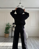 Solid Long Sleeve Hooded Sweatshirt Pants Two Piece Set SSNF-211401
