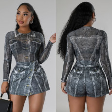 Mesh Long Sleeve Print Bodysuits CulottesTwo Piece  Set BN-9441