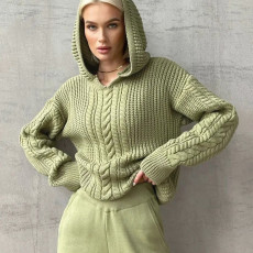 Fashion Hooded Long Sleeve Knit Sweater BLG-T3713479A