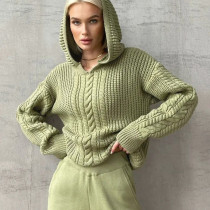 Fashion Hooded Long Sleeve Knit Sweater BLG-T3713479A