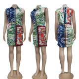 Sleeveless Print Pleated Waist Casual Shirt Dress GYSF-1074