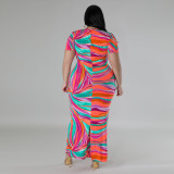 Plus Size Print Short Sleeve V Neck Maxi Dress GDAM-218375