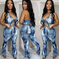 Sexy Print Sleeveless Backless 2 Piece Pants Set FSXF-596