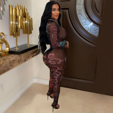 Sexy Print See Through Long Sleeve Jumpsuit BY-6885