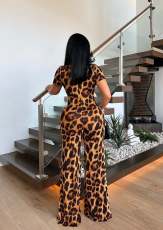 Leopard Print Tie Up Bra And Wide Leg Jumpsuit 2 Piece Set TE-4684