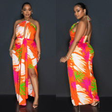 Backless Print Tie Up Halter Maxi Dress BY-6921