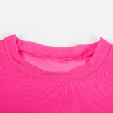 Round Neck See-through Long Sleeve T-shirt GAXB-A135TP