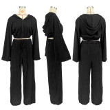 Solid Color Hooded Long Sleeve Pants 2 Piece Set DDF-88235