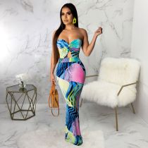 EVE Sexy Printed Strapless Bodycon Maxi Dresses SMR-9212