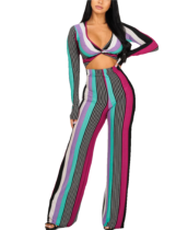 Striped Deep V Neck Long Sleeve Two Piece Sets QZX-6015