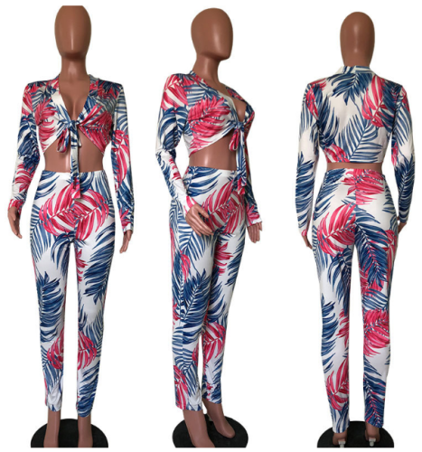 Wholesale Bohemian Style Sexy Printed Two Piece Set Ojs 9041