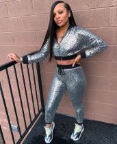 Casual Sequin Hooded Tracksuit Two Piece Sets WZ-8232