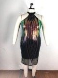 EVE Sexy Sequin Sleeveless Party Dress Plus Size 5XL OSM2-5264
