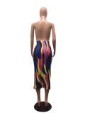 EVE Colorful Strip High Waist Slim Long Skirt CHY-1055