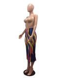 EVE Colorful Strip High Waist Slim Long Skirt CHY-1055