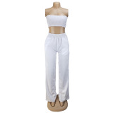 Sexy Tube Top And Pants Two Piece Suits AIL-083