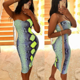 EVE Snake Skin Print Strapless Bodycon Midi Tube Dress SHA-6040