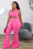 EVE Plus Size Sexy Solid Color Hanging Neck Crop Top Wide Leg Pants Two Piece Set DMF-8141