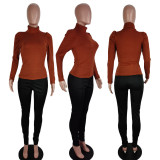 EVE Solid Turtleneck Knitted Long Sleeve Slim Tops AWF-5803