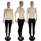 EVE Solid Turtleneck Knitted Long Sleeve Slim Tops AWF-5803