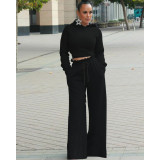 EVE Solid Hooded Backless Wide Leg Pants Two Piece Sets MTY-6356