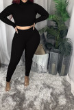 EVE Plus Size Ribbed High Neck Top And Pants Fashion Two Piece Set CQ-086