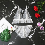 EVE Sexy See Through Underwear Bralette Lingerie Sets YQ-S170