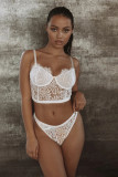 EVE Sexy Lace Hollow Out 2 Pieces Lingerie Sets YQ-W417