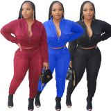 EVE Plus Size Casual Solid Long Sleeve Two Piece Sets LP-6268