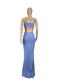 EVE Sexy Hollow Out Backless Slip Maxi Dress CHY-1315