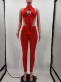 EVE Sexy Solid Halter Crop Top And Pants 2 Piece Sets TK-6151