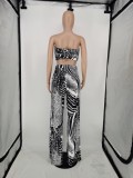 EVE Sexy Printed Tube Top Wide Leg Pants 2 Piece Suits APLF-5022