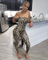EVE Leopard Print Off Shoulder Tight Tube Jumpsuits FOSF-8050