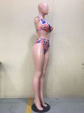 EVE Sexy Printed 3pcs Swimwear Bikini Sets With Long Cloak OD-8438