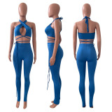 Sexy Strappy Backless Two Piece Pant Sets NIK-236