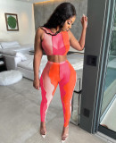 EVE Sexy Mesh Sleeveless Two Piece Pant Sets YD-8386