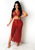 EVE Sexy Knitted Tassel Hollow Out Two Piece Skirt Set TR-1151
