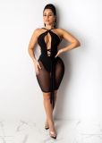EVE Sexy Mesh Patchwork Bandage Club Dress BS-1271