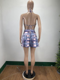 EVE Sexy Plaid Hater Bra Top+Pleated Mini Skirt 2 Piece Sets DAI-8353