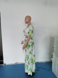 EVE Plus Size Fashion Sexy Print Dress WPF-80078