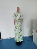 EVE Plus Size Fashion Sexy Print Dress WPF-80078