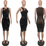 EVE Plus Size Solid Mesh Sleeveless Club Dress CQ-126