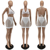 EVE Sexy Halter Crop Top+Hollow Mini Skirt 2 Piece Sets WSM-5257