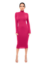 EVE Solid Turtleneck Long Sleeve Thick Slim Midi Dress MZ-2589