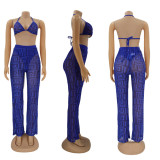EVE Sexy Mesh Bra Top+Underpants+Pants 3 Piece Sets HNIF-HN023
