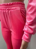 EVE Solid Velvet Hooded Zipper Long Sleeve Flared Pants 2 Piece Sets NIK-264