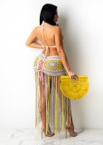 EVE Colorful Knitted Tassel Hollow Beach Dress ZSD-0111