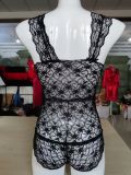 EVE Sexy Lace Deep V One-piece Lingerie YQ-S131